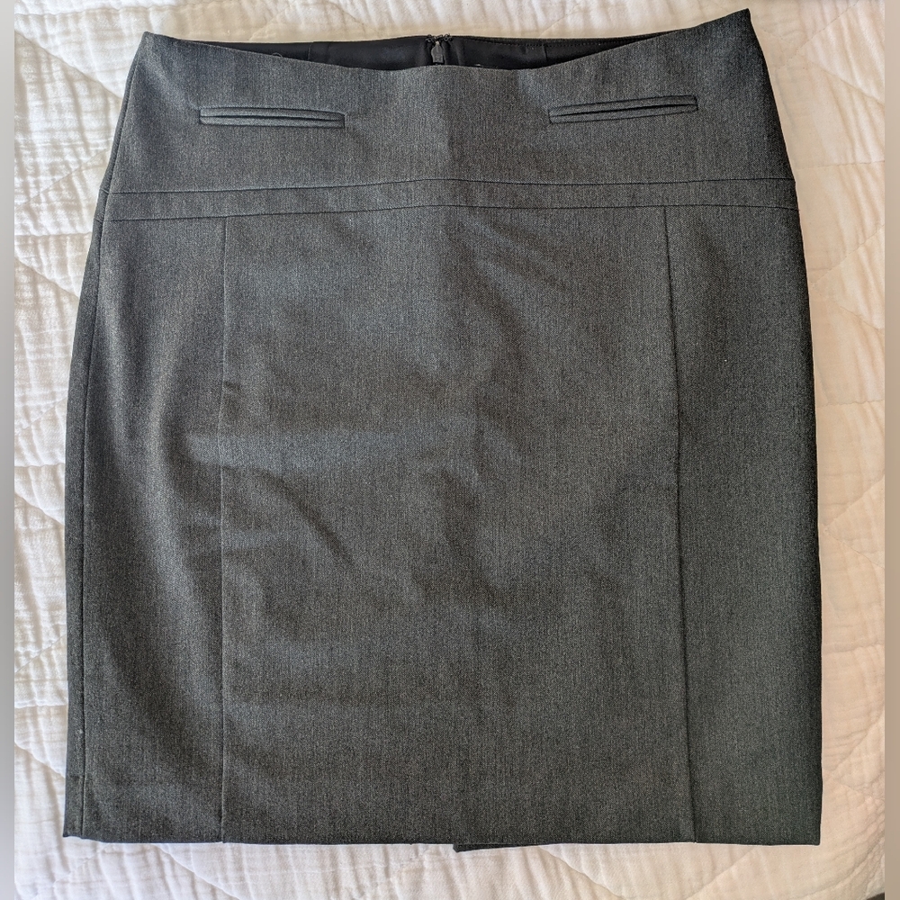 Express Pencil Skirt